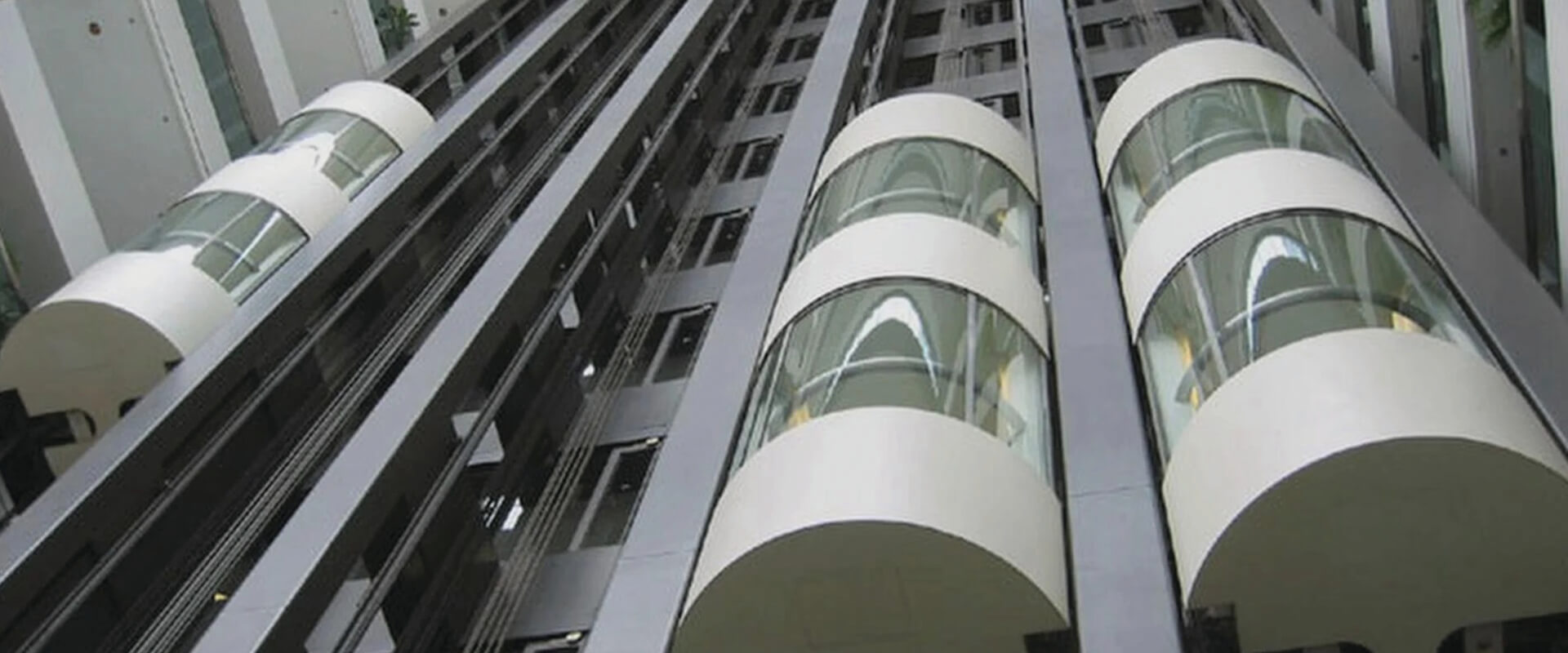 Capsule Elevator AMC and Maintenance in Dehradun